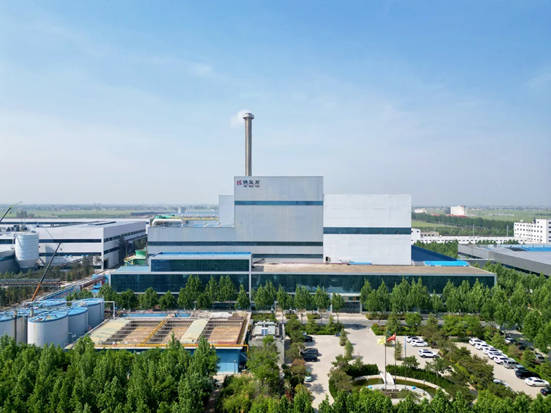 Solution-of-MSW-to-energy-3