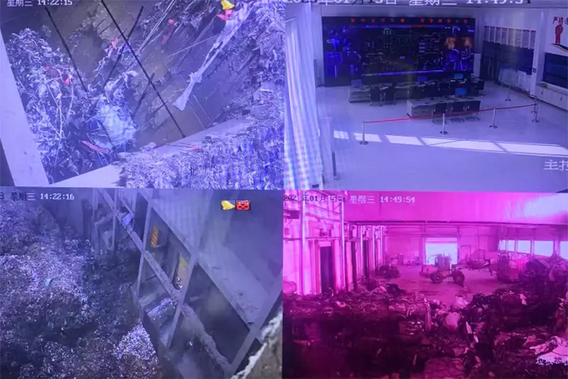 The Cases of Waste to Energy Plant