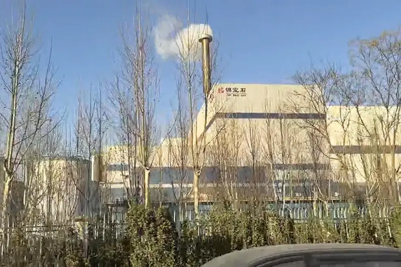 The Cases of Waste to Energy Plant